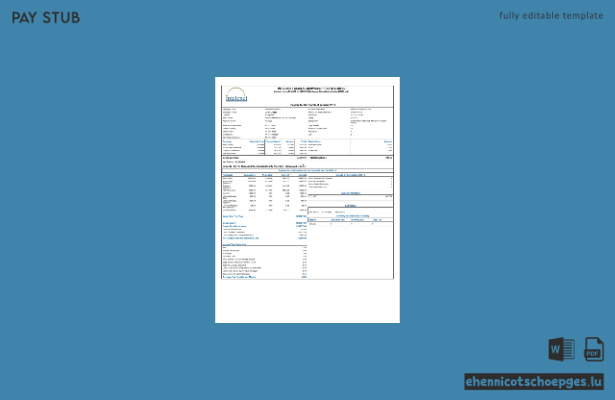 Gehaltsabrechnungsbeispiel von India Intelenet Global Services Limited